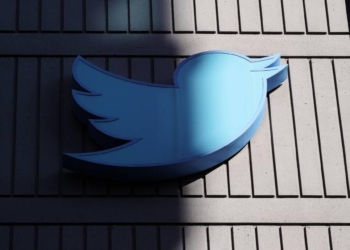 twitter kuşu