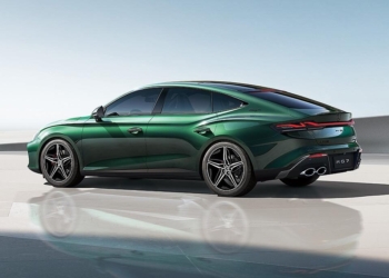 mg7