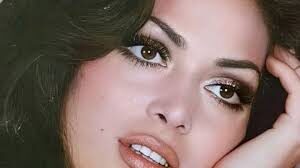 Türkan Şoray Turkish Delight akımı hakkında konuştu!