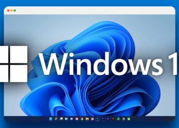 windows 11