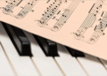 Türkiye’de düğün telif meselesi başlıyor! Müzik Çalmak Artık Ücretsiz Olmayacak mı?
