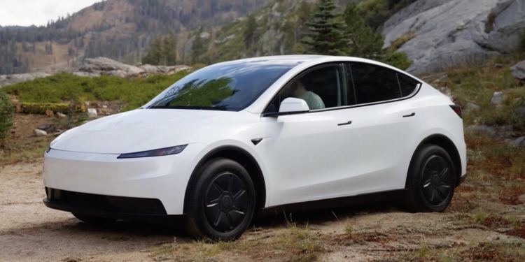 Tesla Model Y Standart