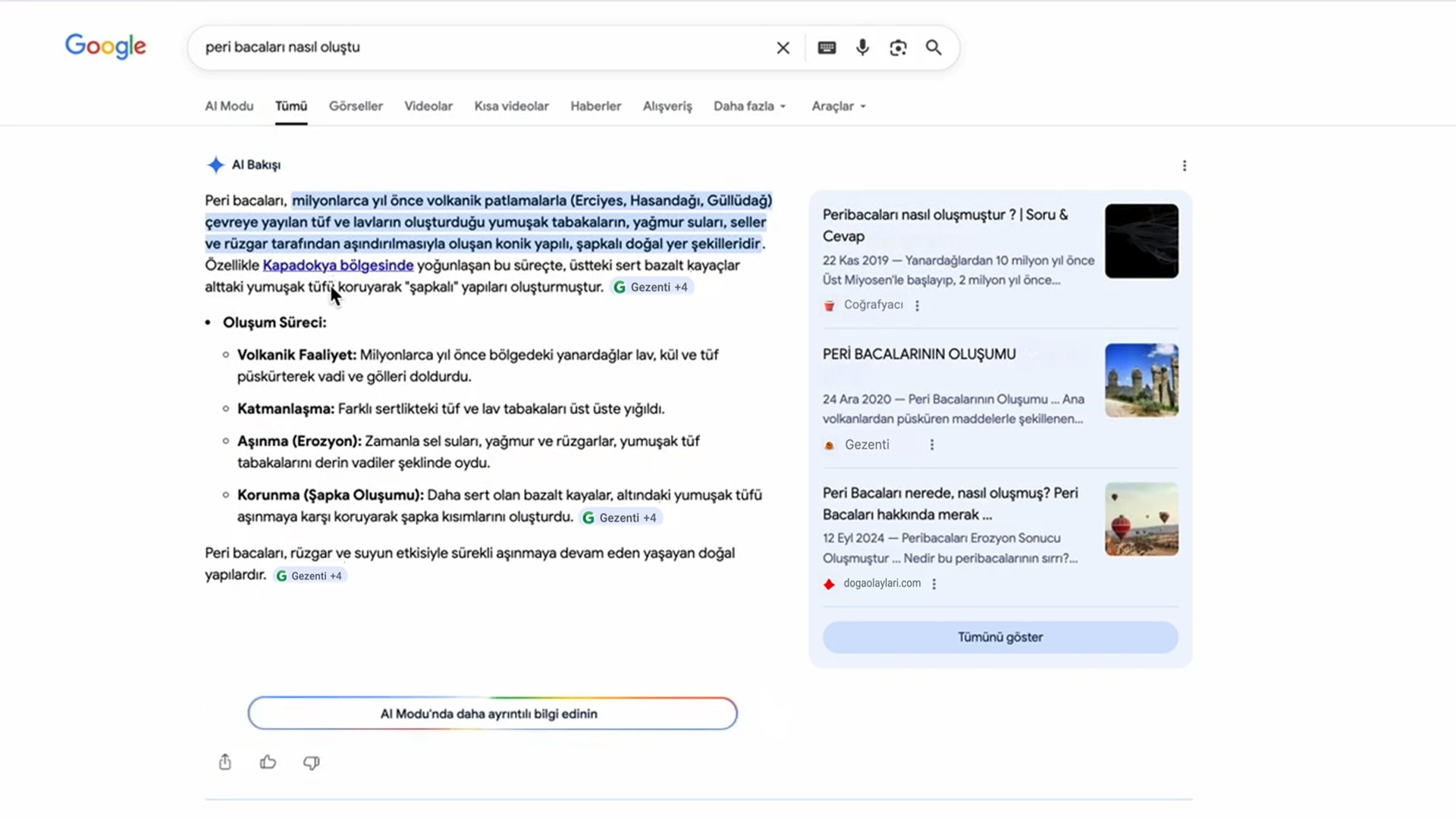 Google'da AI Modu ve AI Bakışı Özellikleri Türkiye'de