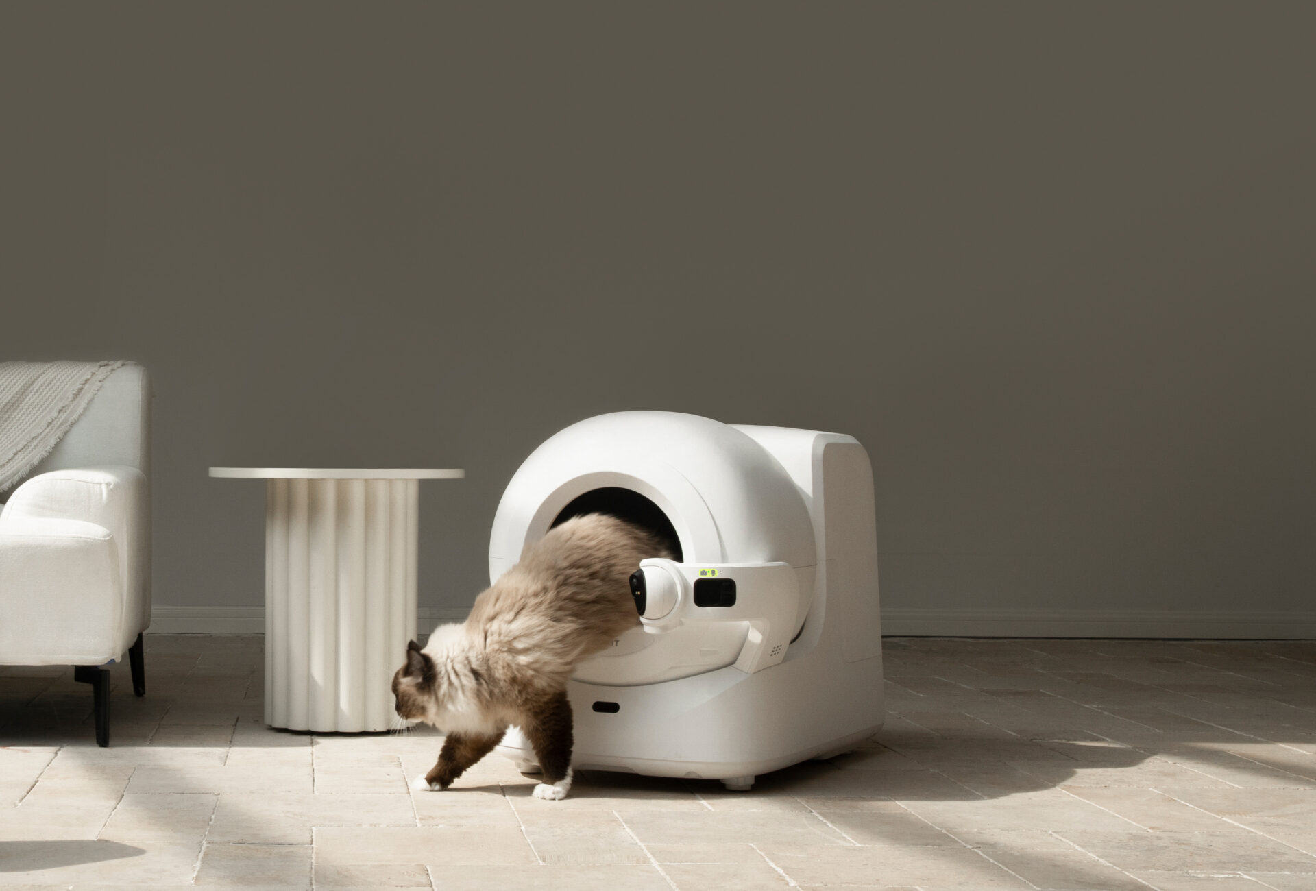 Petkit, Siri desteği ile evcil hayvan bakımında yeni bir dönem başlatıyor