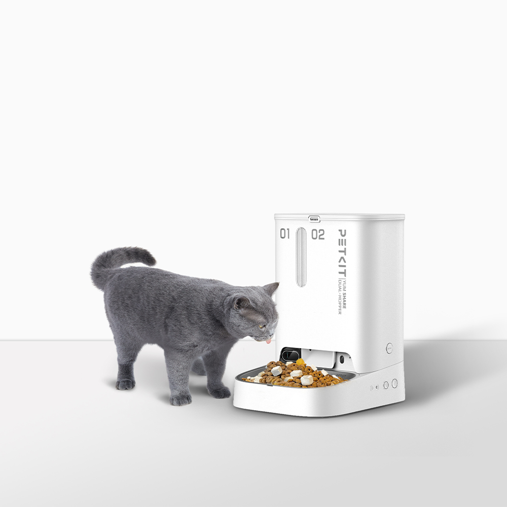 Petkit, Siri desteği ile evcil hayvan bakımında yeni bir dönem başlatıyor