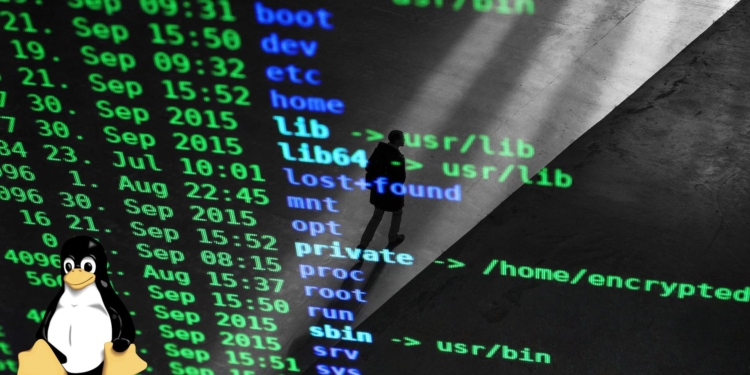 Linux kodlarında yapay zekaya yeşil ışık! Tek bir şart var! #1